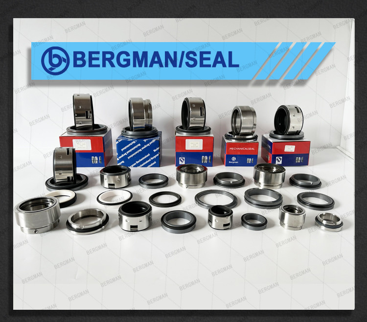 BERGMAN 58U 59U 14mm-100mm G60 G4 G6 G9 G13 G16 BS Bo BP Pump Mechanical Seal