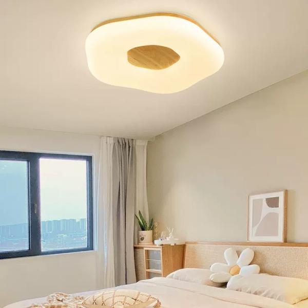 Modern Ceiling Lamp LED 24W 36W Flower Shape Ceiling Lights For Bedroom Living