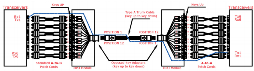 12 Fibers MPO Female To MPO Female Singlemode 3.0mm LSZH MPO Patch Cord