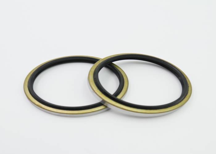 DBK Excavator Spare Parts NBR Material Black Hydraulic Oil Seal