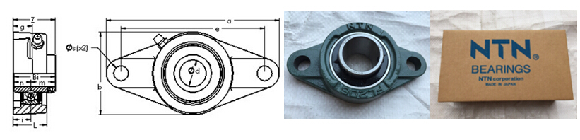 NTN Flange Pillow Block Bearing UCFL UCFL205 with Cast Iron Material ISO