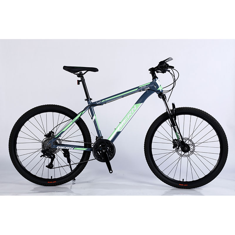 Double Wall Rim Cnc Lady Mountain Bike for Smart Riding Yinxing Hydrallic Disc Brake