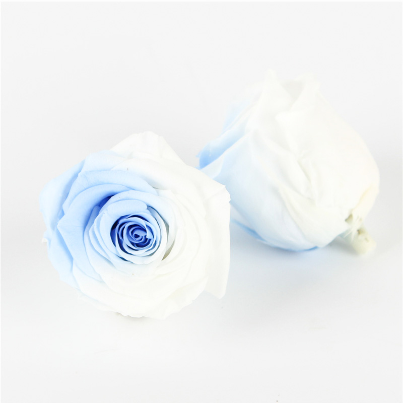 A Grade Preserved Rose Heads Customized Color Eternal Life Wedding Decoration