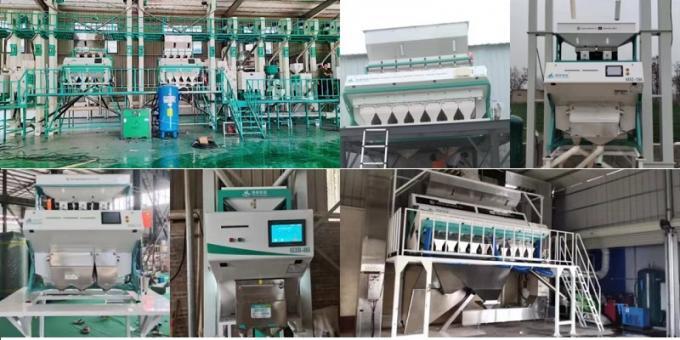 High Quality CCD RGB Rice Color Sorting Machine/Grain/Nut/Bean/Cashew Colour Sorter