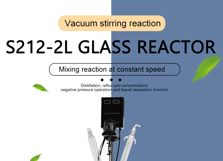 S212 2l Laboratory Double Layer Jacketed Glass Reactor
