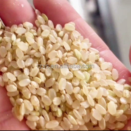 XCT1000 1 Ton Per Hour Small Combined Germ Rice Milling Machine for Medium Retailers