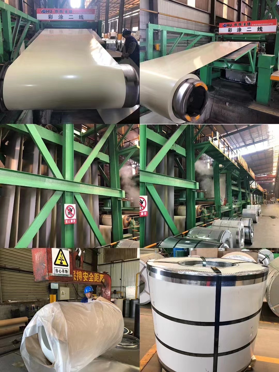 0.12mm - 0.6mm Prepainted Galvanized Steel Coil Dx51d Ral 6005