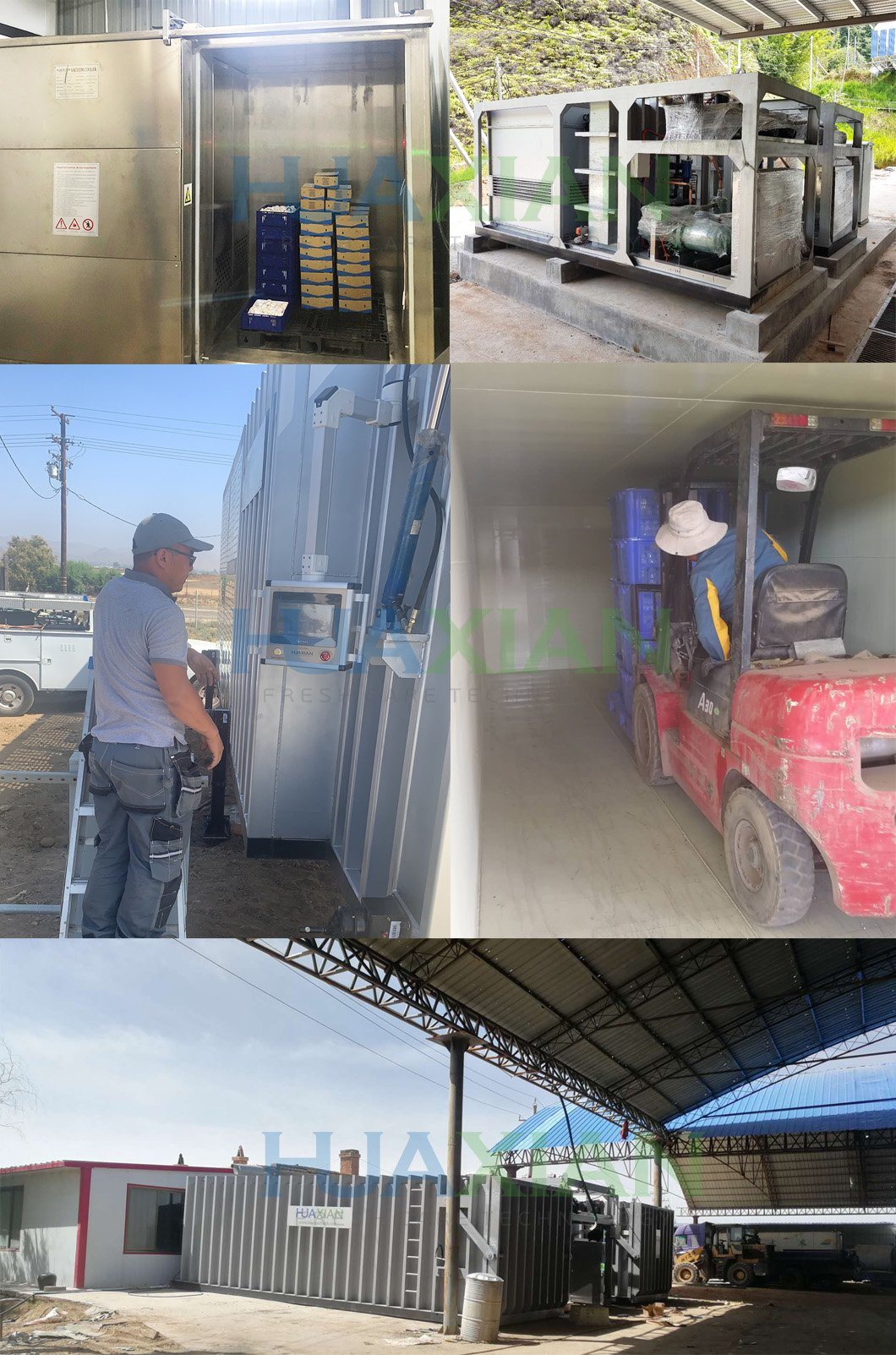 High Quality Fast Cooling Bitzer Compressor Pre Cooler, Fruit/Blueberry/Mushroom/Flower/Vegetable Vacuum Chiller