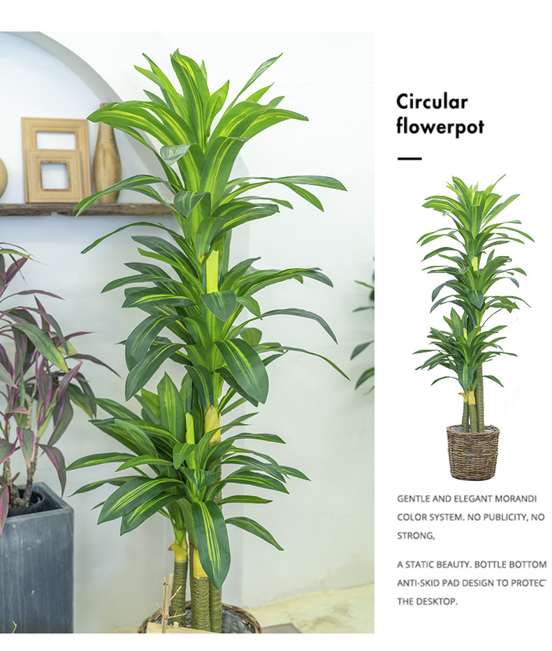 Stunning 170cm Real Touch Dracaena Bonsai Plant For Landscaping