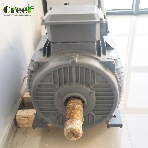 Quality High output FREE ENERGY 1MW Customized Size speed Permanent Magnet Generator for sale