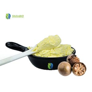 China High Quality Luo Han Guo Extract Mogroside V 5%-65% Pure Monk Fruit Extract Powder on sale