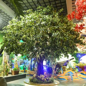  2m Artificial Landscape Trees Large Ficus C Style Custom Height Exibition Hall Foliage Tree Manufactures