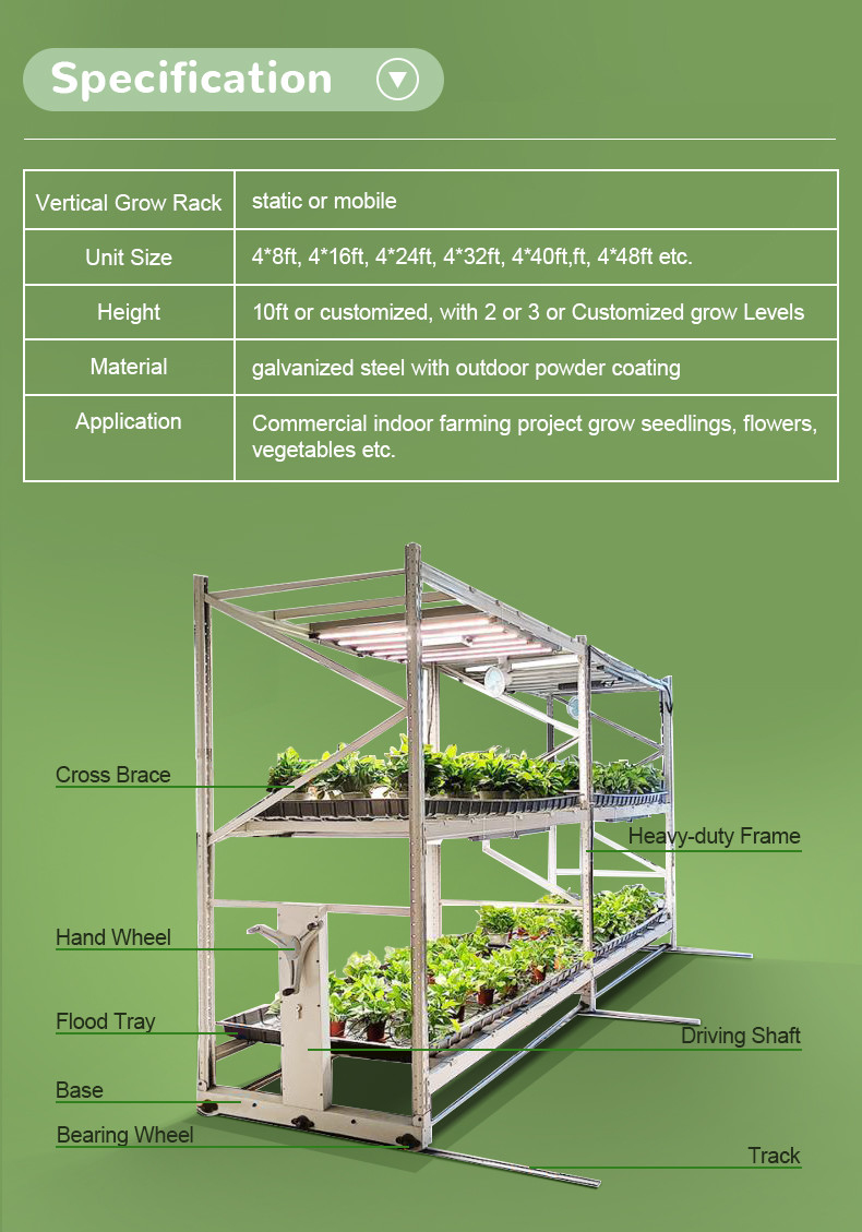 Construction Irrigation Holding Stands Intelligent Home Hydroponic Lettuce Aquaphonics Growing System