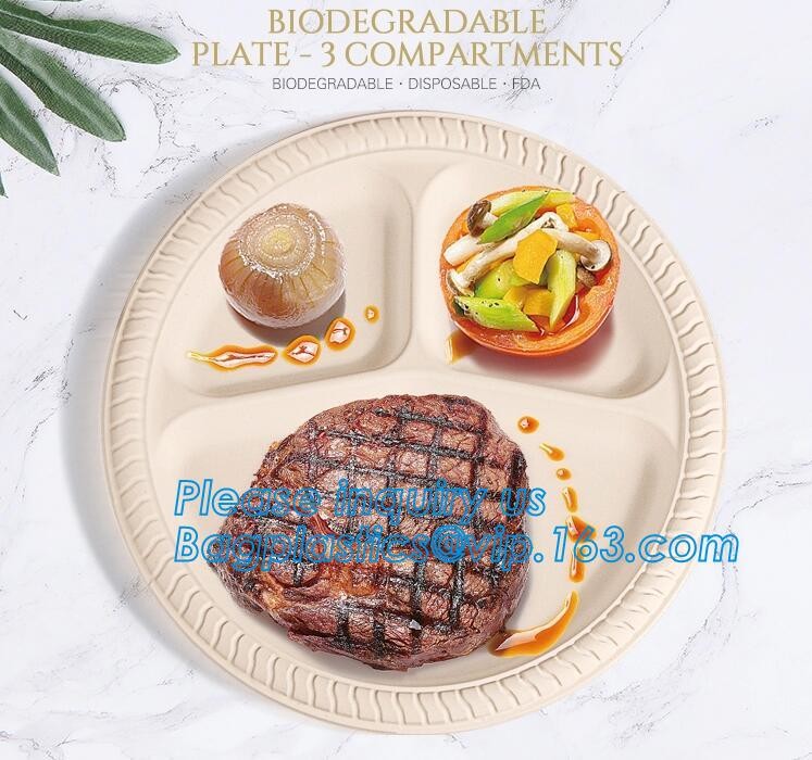 Meal Prep Containers Free Sample Bento Lunch Box Biodegradable Food Container Plastic Wheat Straw Lunch Box bagplastics