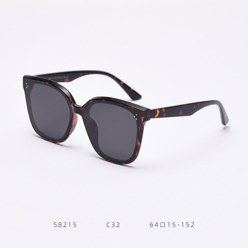 Women Retro Big Frame Square TR90 Sunglasses Trendy Polarized Men