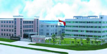 Hebei Laisinuo Import And Export Co. Ltd