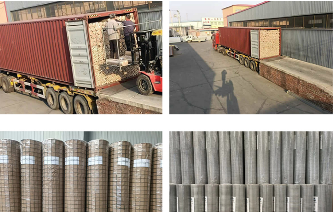 Large stock Welded Wire Mesh Galvanized anti-rust Electro Galvanized Mesh
