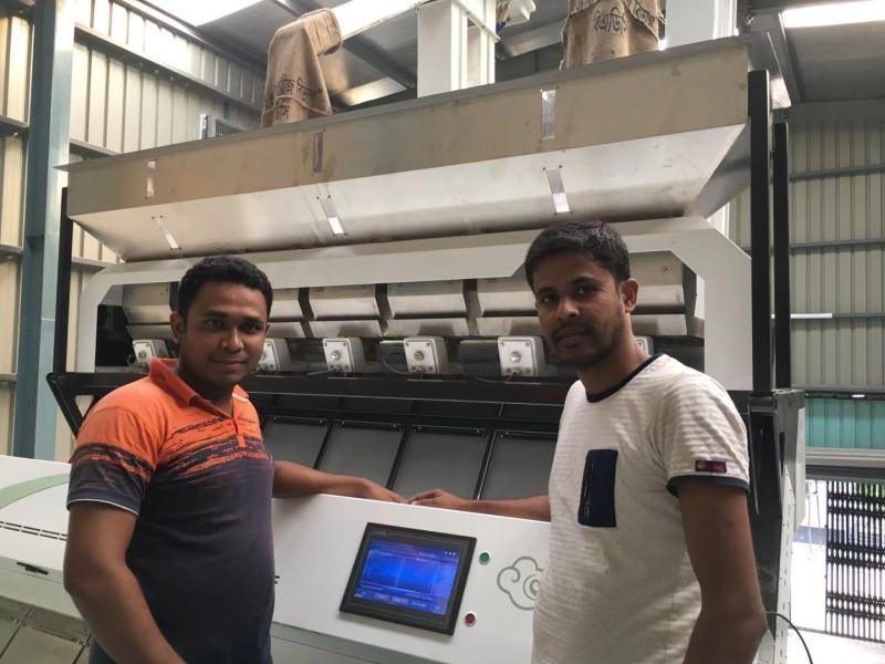 CCD Camera Sunflower Kernel 2t/H Color Sorter Machine 256 Channels