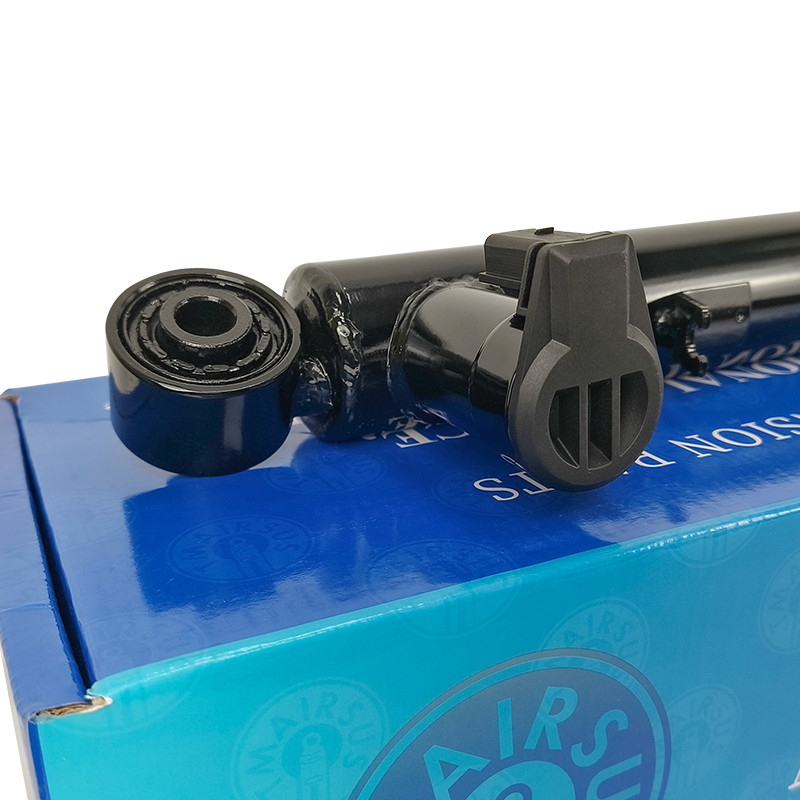 VW Passat CC & Tiguan Car Shock Absorber 3C0513045D 3C0513046D For Car Suspension