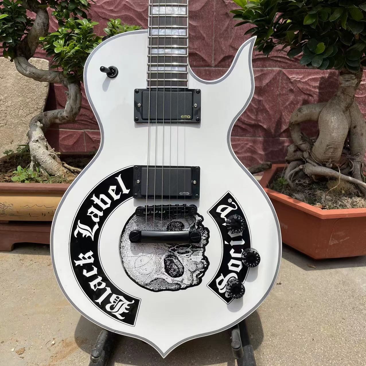Custom Zakk Wylde Audio in Kinds Color Electric Guitar with Bound Ebony Fretboard Block Inlays