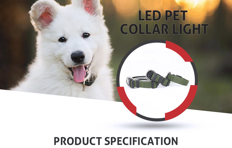 Polyster Nylon Dog Collars High - Impact Plastic Buckle With Green Color