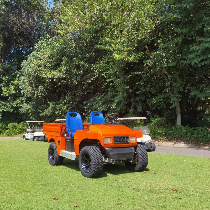 New Design 72V Electric Utility Buggy With Aluminum Cargo
