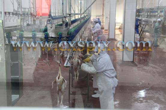 Customized Chicken Duck Turkey Goose Slaughter Machine 2000BPH For Poultry