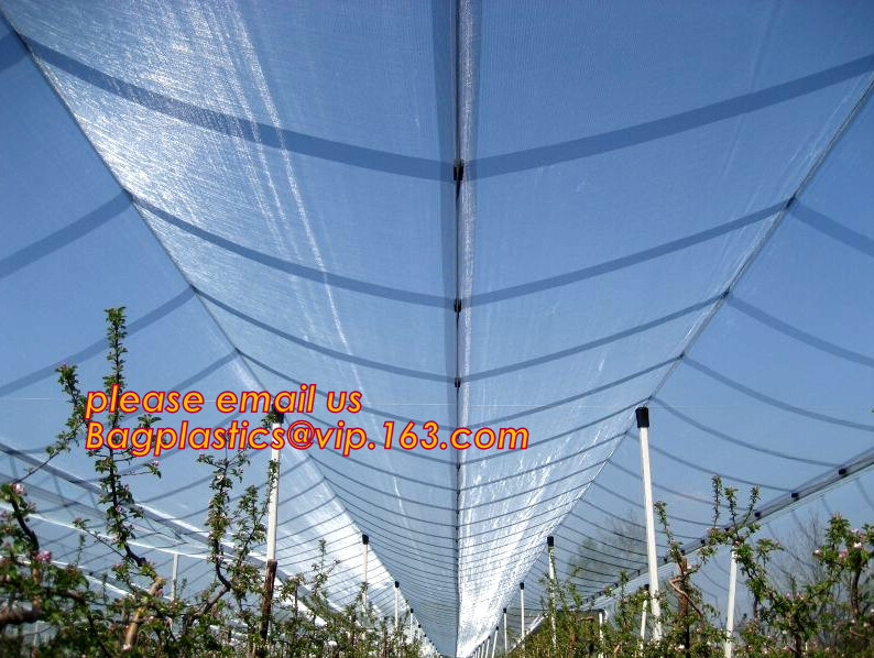 Garden plant protect cover anti insect net/agricultural plastic mesh insect proof net,agricultural wide varieties frost