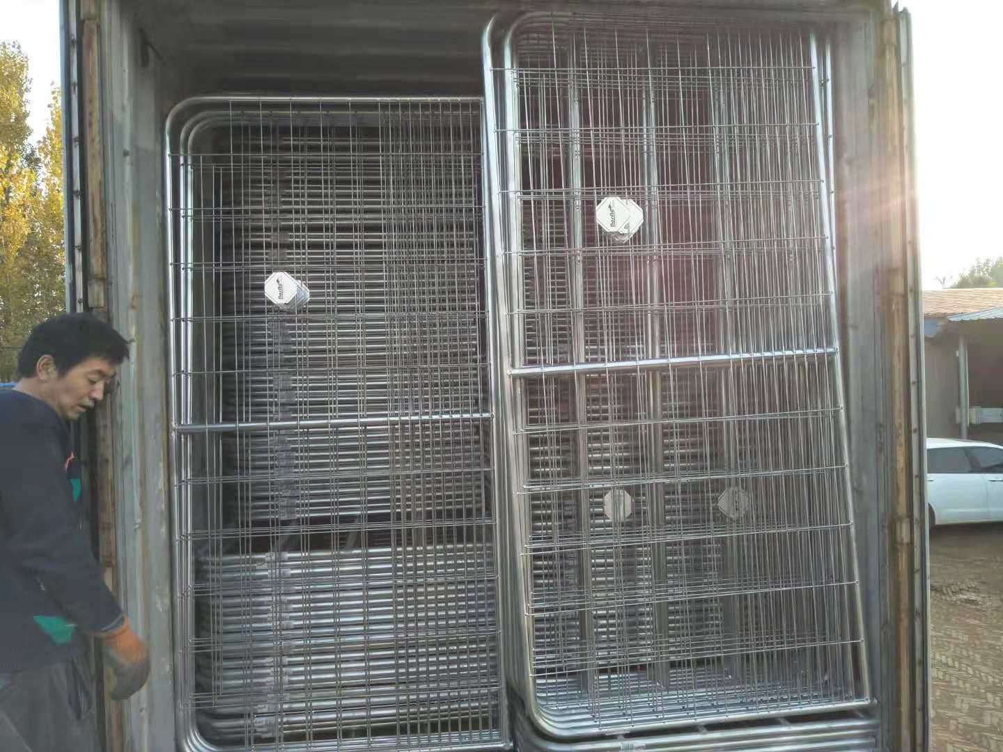 ISO9001 L3000mm Portable Sheep Handling Equipment Q195 Steel