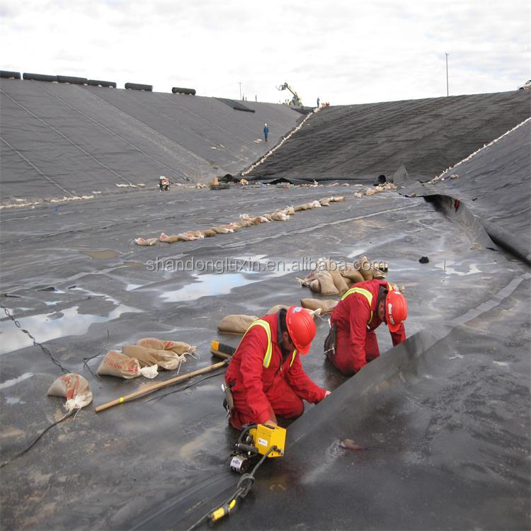 Double Texture/Double Smooth HDPE Geomembrane Industrial Design Style Fish Tank Liner