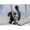 Buy cheap Zoo / Garden Stainless Steel Wire Rope Mesh With 1.2mm-3.2mm Wire Diameter from wholesalers