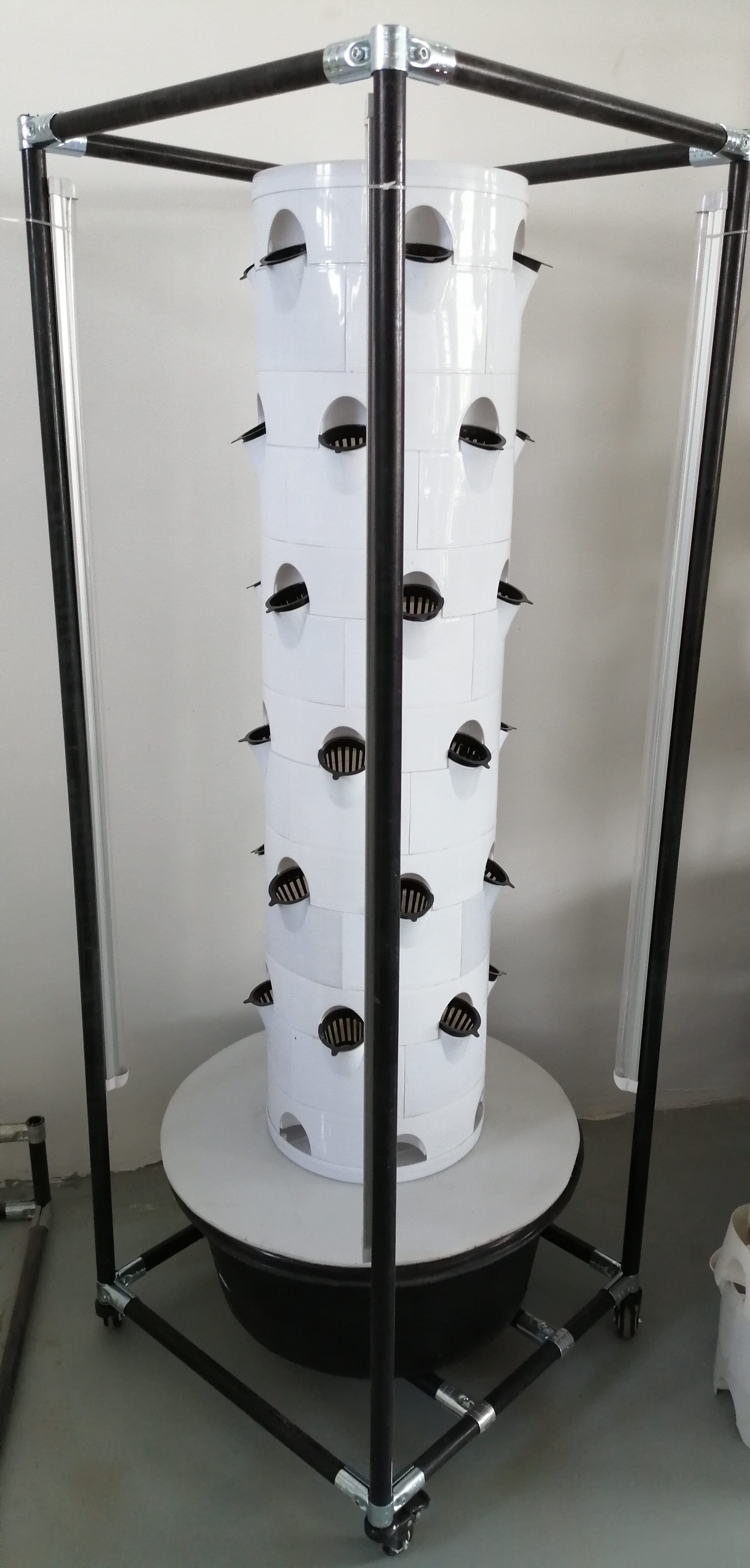 Hydroponic System Aerpetta Strawberry And Leaf Vegetable Rotation With Lights