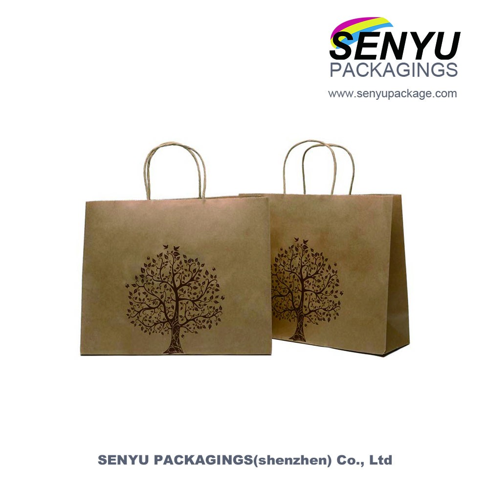 Laminated 250g Printed Paper Bags with Handle Custom Printed Recyclable