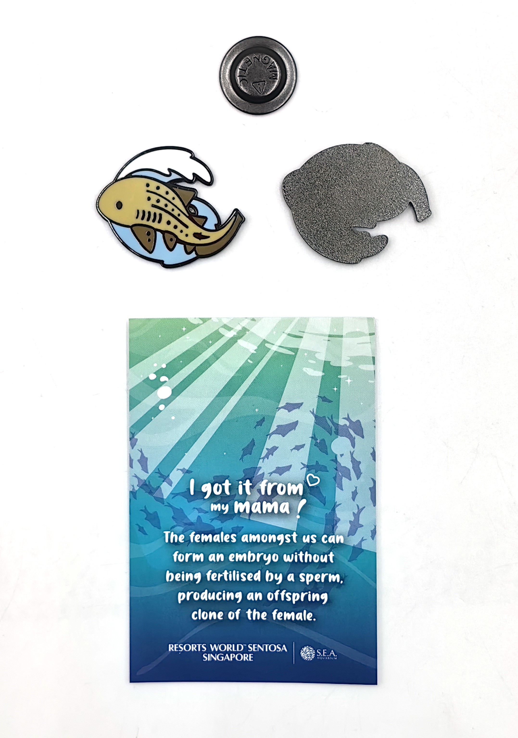 Tournament Security Force Badge – Excellence in Event Safety