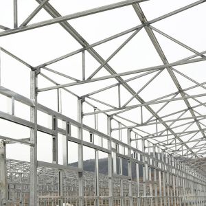 Multi Storey Prefab Steel Structure Building Chicken House