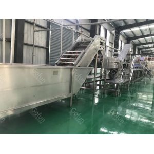 SUS304 Automatic Tomato Paste Processing Production Line One Stop Service