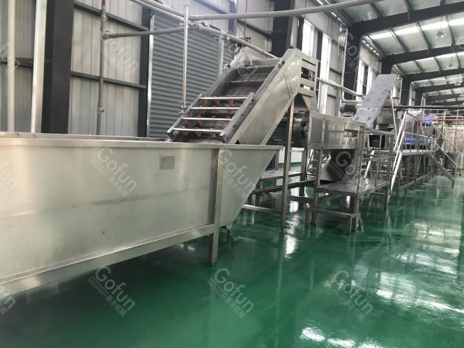 20T/H Automatic Tomato Processing Machine 304 Stainless Steel