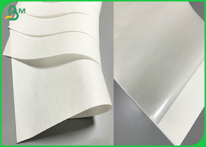 50gsm 60gsm Candy Wrapping White Kraft Paper PE Coated OilproofMoisture Proof 