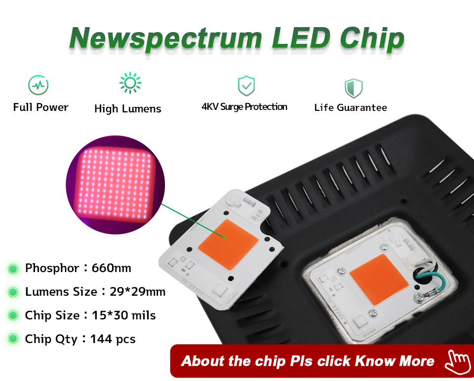 Phytolamp Light Bar Module 50W IP65 Plant Grow Light Voltage 240V