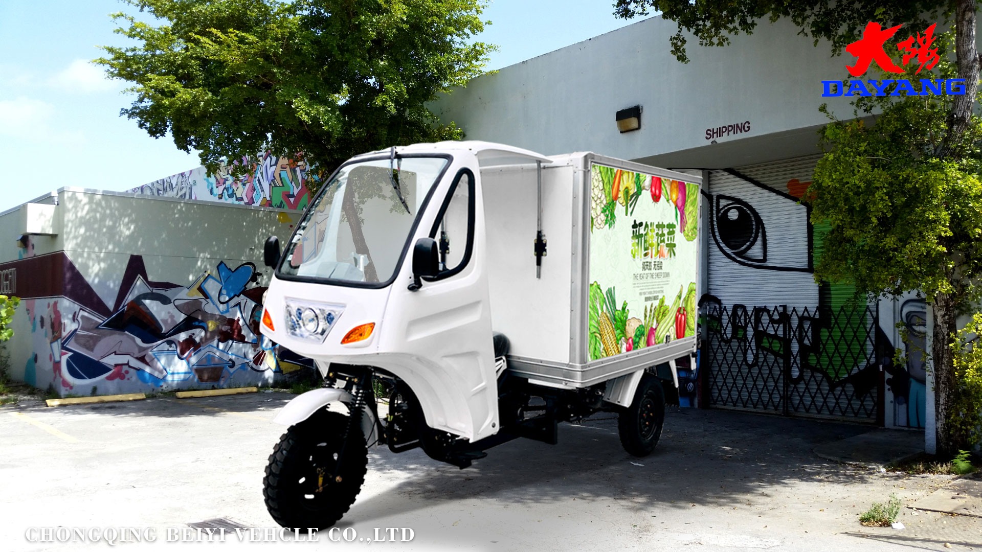 Three Wheel Refrigerator Cargo Tricycle with Iron Cabin and Hydraulic Rear Brake