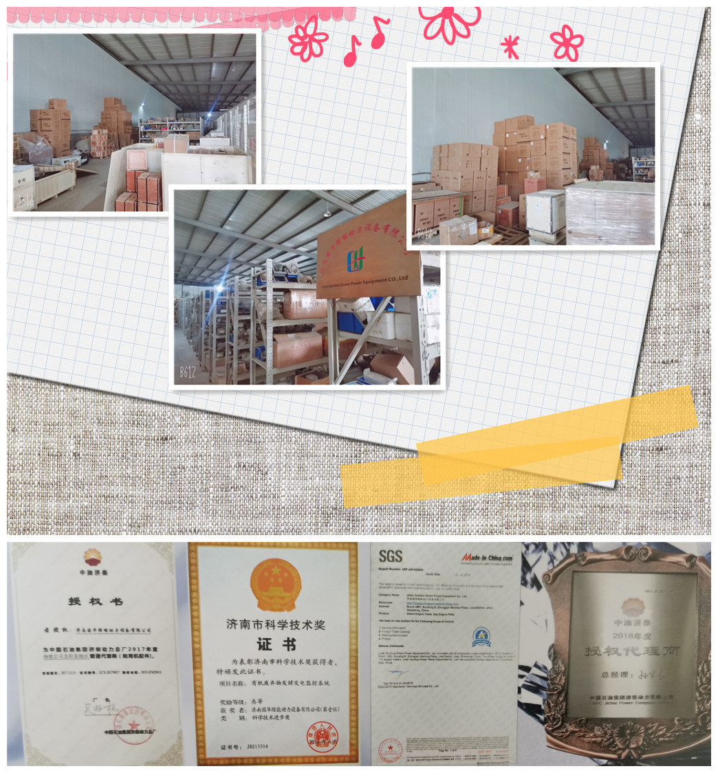 12V190 Natural Gas Generator for Power Station