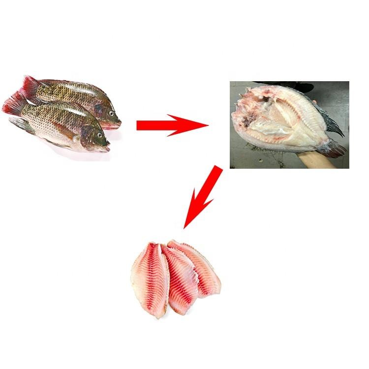 Small Tilapia Fish Processing Machine