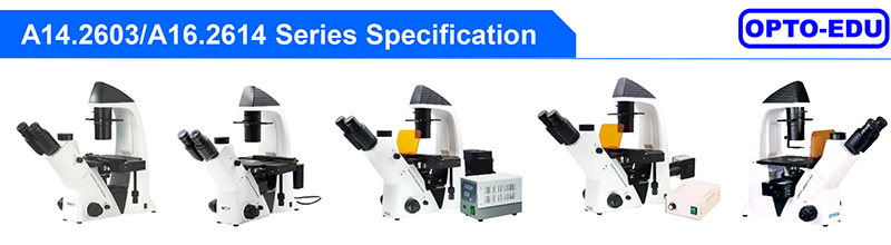 OPTO-EDU A16.2614-UL China Supplier High Brightness Inverted Ultra LED Fluorescent Microscope Price