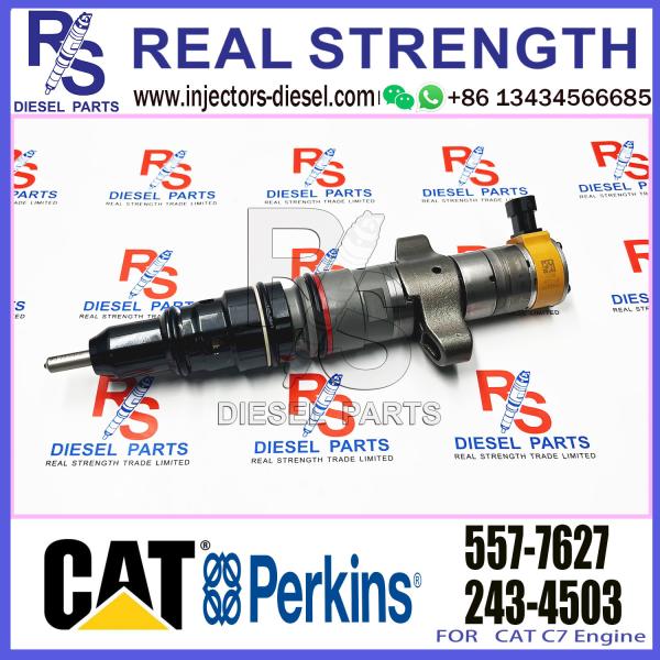C-A-T E324D E325D E329D Excavator Fuel Injector C7 C9 Engine 387-9427 557-7627