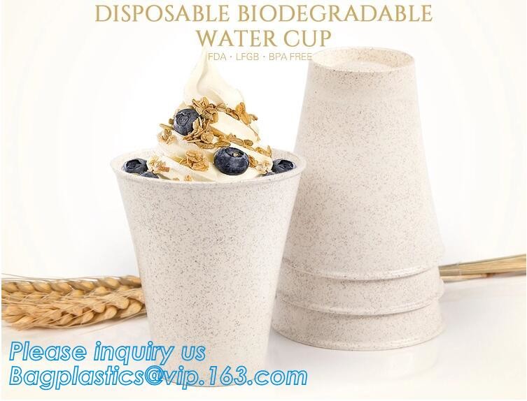 Meal Prep Containers Free Sample Bento Lunch Box Biodegradable Food Container Plastic Wheat Straw Lunch Box bagplastics