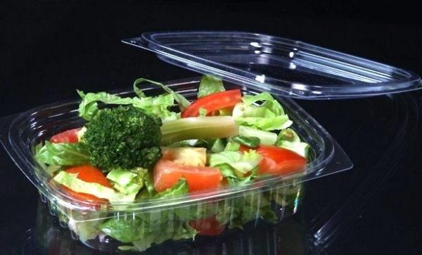 Factory Blister Plastic Storage Box Food Packaging Containers Disposable
