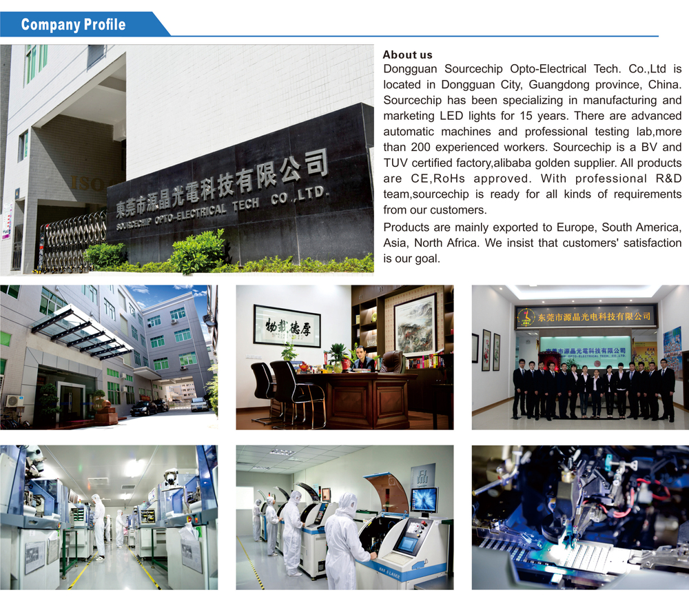 COB 30W LED museum track lighting supply