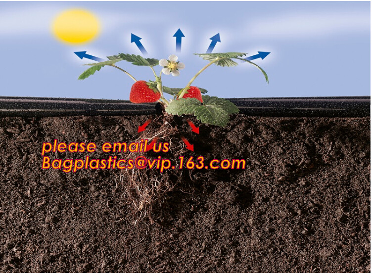 Multi-Span Plastic Film Cover Natural Ventilation Vegetable Greenhouse,Greenhouse Kits Plastic Greenhouse 200 micron gre