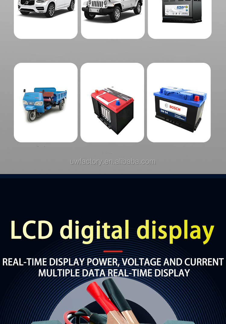 Private Mold Intelligent Battery Charger 10A12V 24V for Automatic Charger Car Motorcycle Boat Marine FCP Function