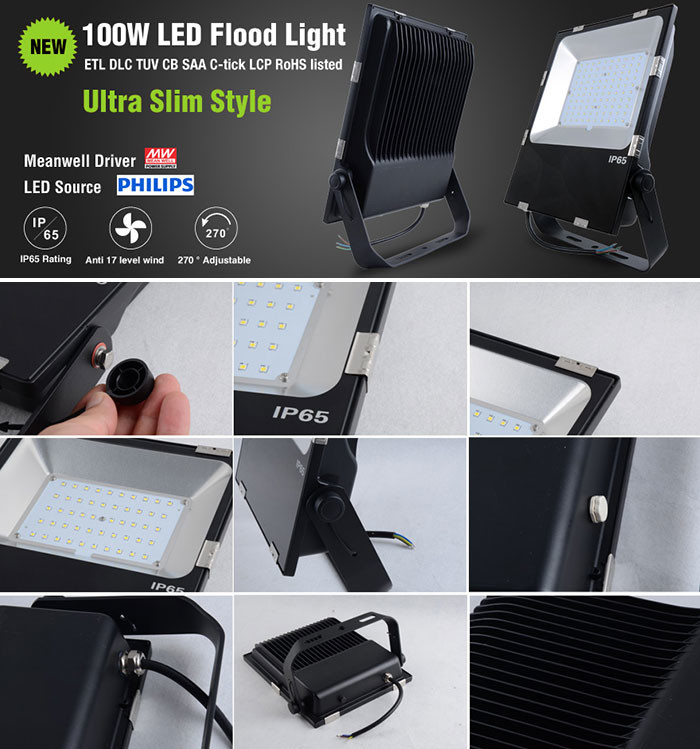 High Lumen Outdoor LED Flood Lights 100w Led Floodlight Outdoor 50/60Hz